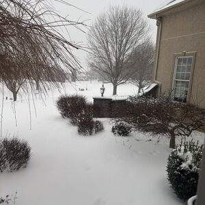 Meet your Posher, Theresa